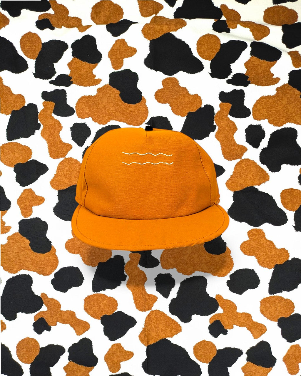 吾輩は、猫である。