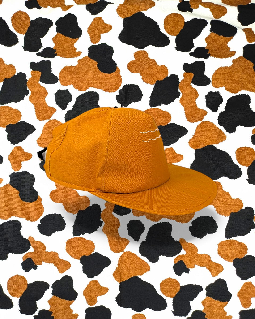 吾輩は、猫である。