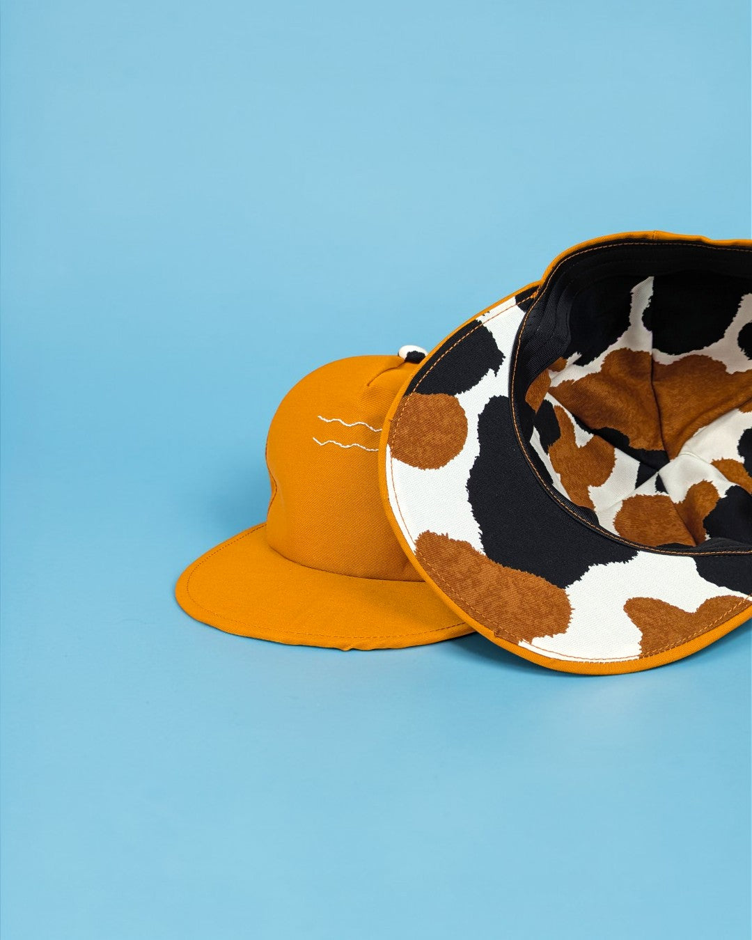 吾輩は、猫である。